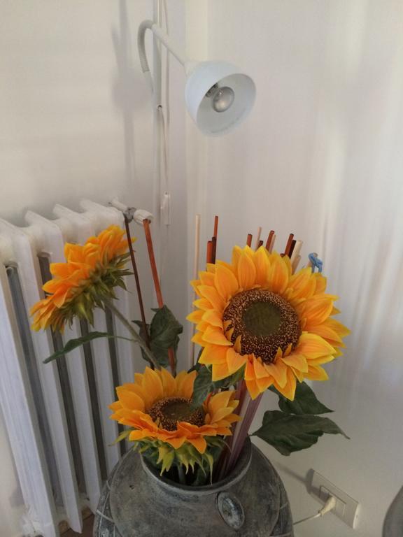 Shelisa B&B Róma Kültér fotó