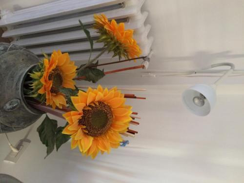 Shelisa B&B Róma Kültér fotó